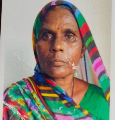 अज्ञात वाहन के धक्के से दुकान बन्द कर लौट रही महिला की मौत साथ चल रहा युवक घायल